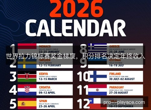 世界拉力锦标赛奖金梯度，积分排名决定年终收入